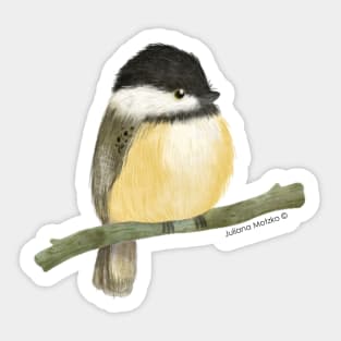 Black capped chickadee bird Sticker